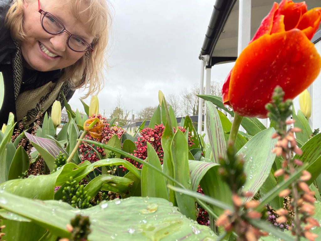 Lynn with a orange planted tulip