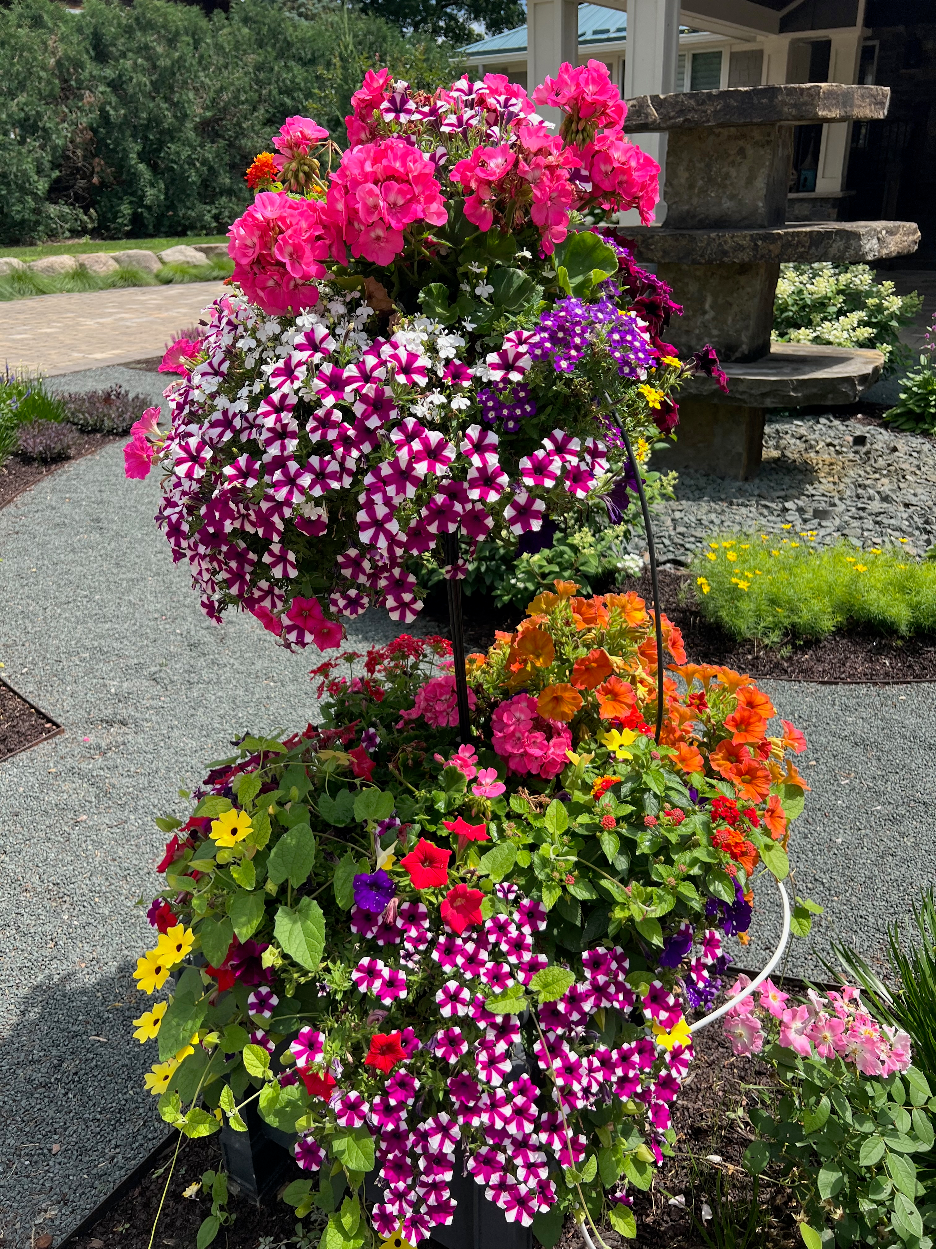 pink purple and orange flowers in three pots